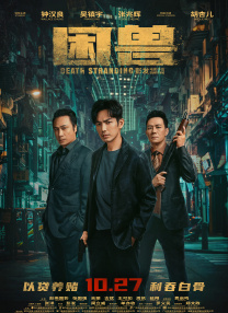 综合视频在线
